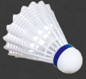 BADMINTON